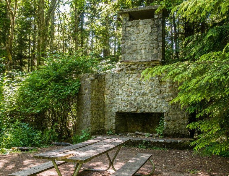 Squak Mountain State Park Natural Area, Washington, USA